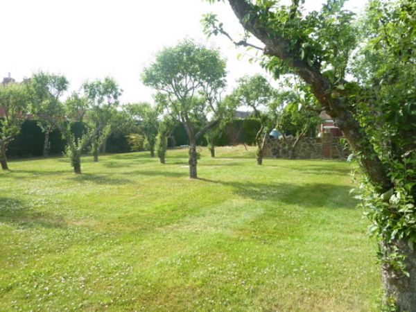 Michael Anthony Bletchley - Stoke Hammond - Orchard